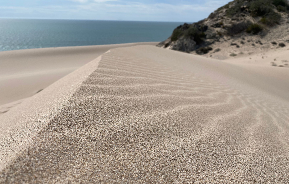 hermosillo-sonora-mexico-gastronomia