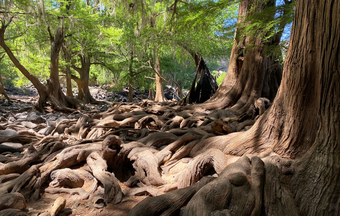 nombre-dios-durango-visitar