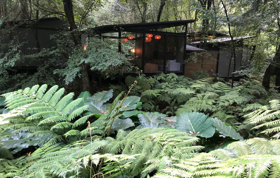 piedra-herrada-bosque-hotel